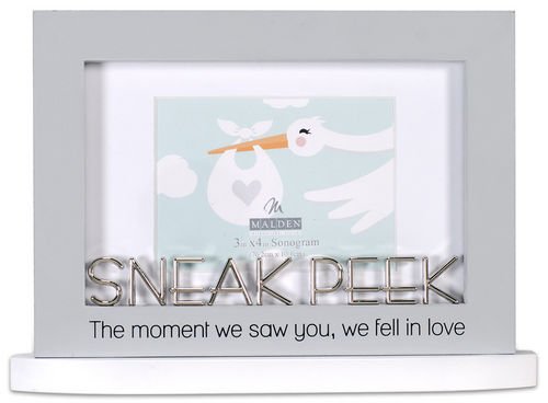 3X4/4X6 Sneak Peak Modern Statement Frame