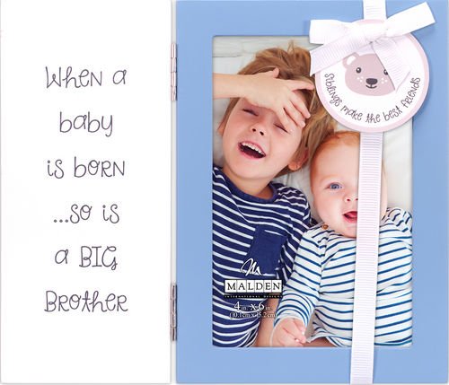 4X6 Big Brother Blue Hinged W/Tag Frame