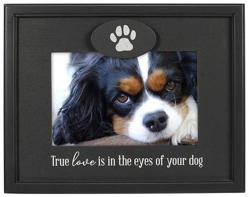 4X6 True Love Eyes Of Your Dog Frame