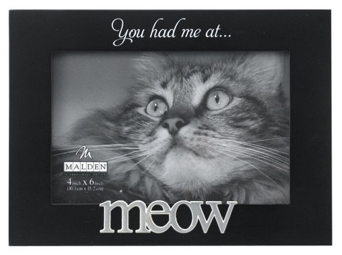 4X6 You Had Me At Meow Frame