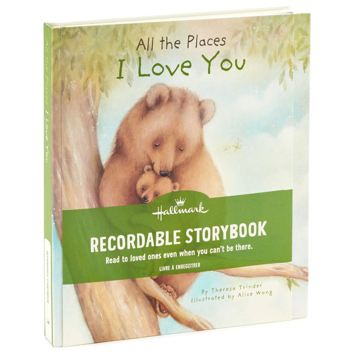 All The Places I Love You Recordable Storybook With Music