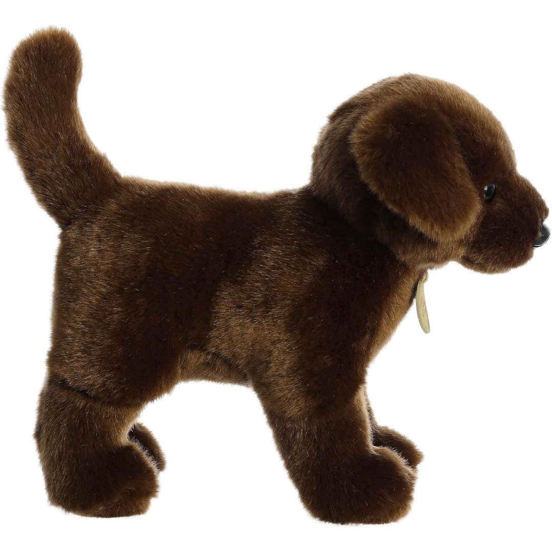 Aurora, Chocolate Labrador 10" Plush