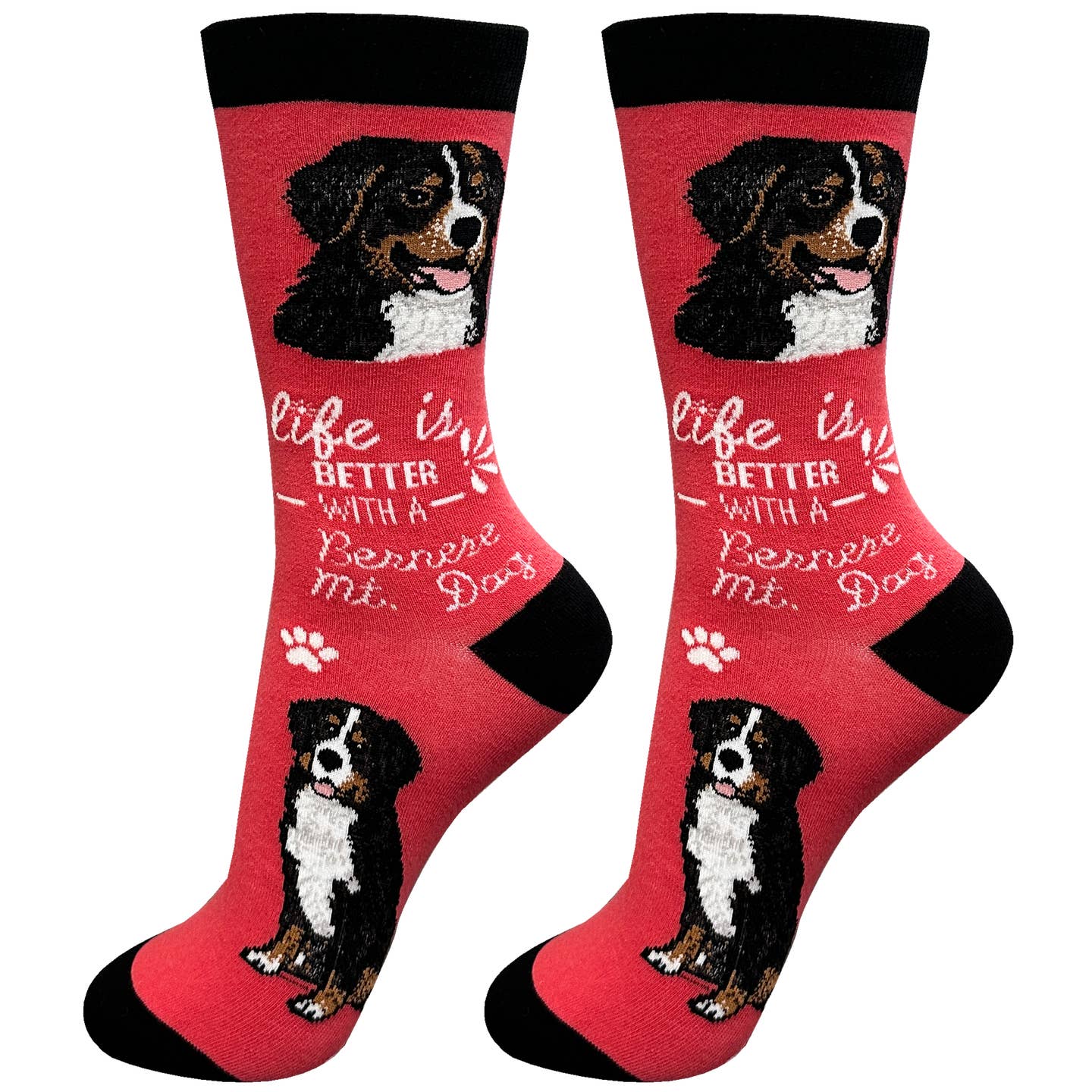 Bernese Mt. Dog Socks