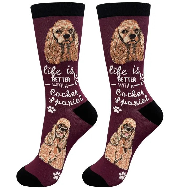 Cocker Spaniel Socks