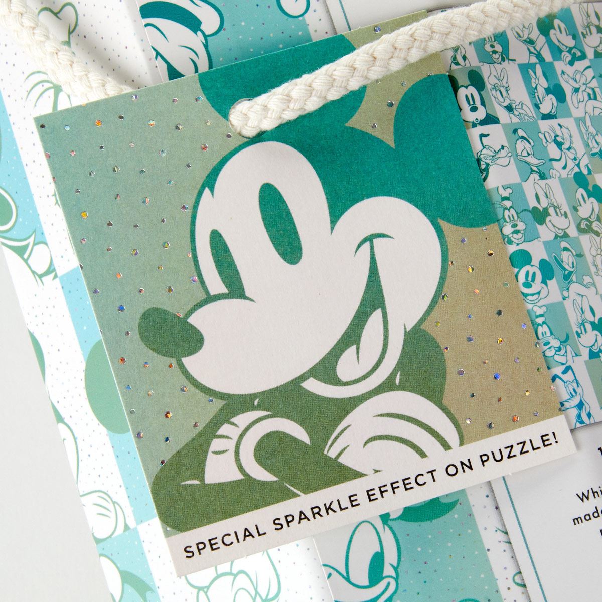 Disney 100 Years of Friendship Jigsaw Puzzle