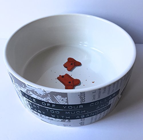 From Frank Friends Take Off Your Collar Pet Bowl Large