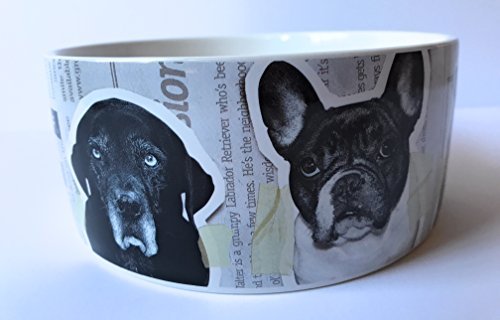 From Frank Friends Take Off Your Collar Pet Bowl Large