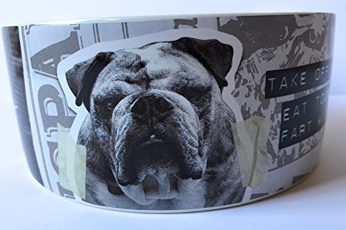 From Frank Friends Take Off Your Collar Pet Bowl Large
