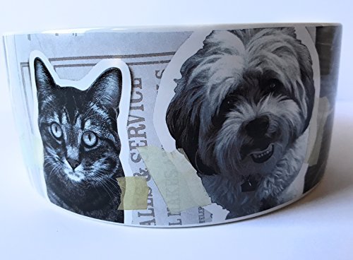 From Frank Friends Take Off Your Collar Pet Bowl Large