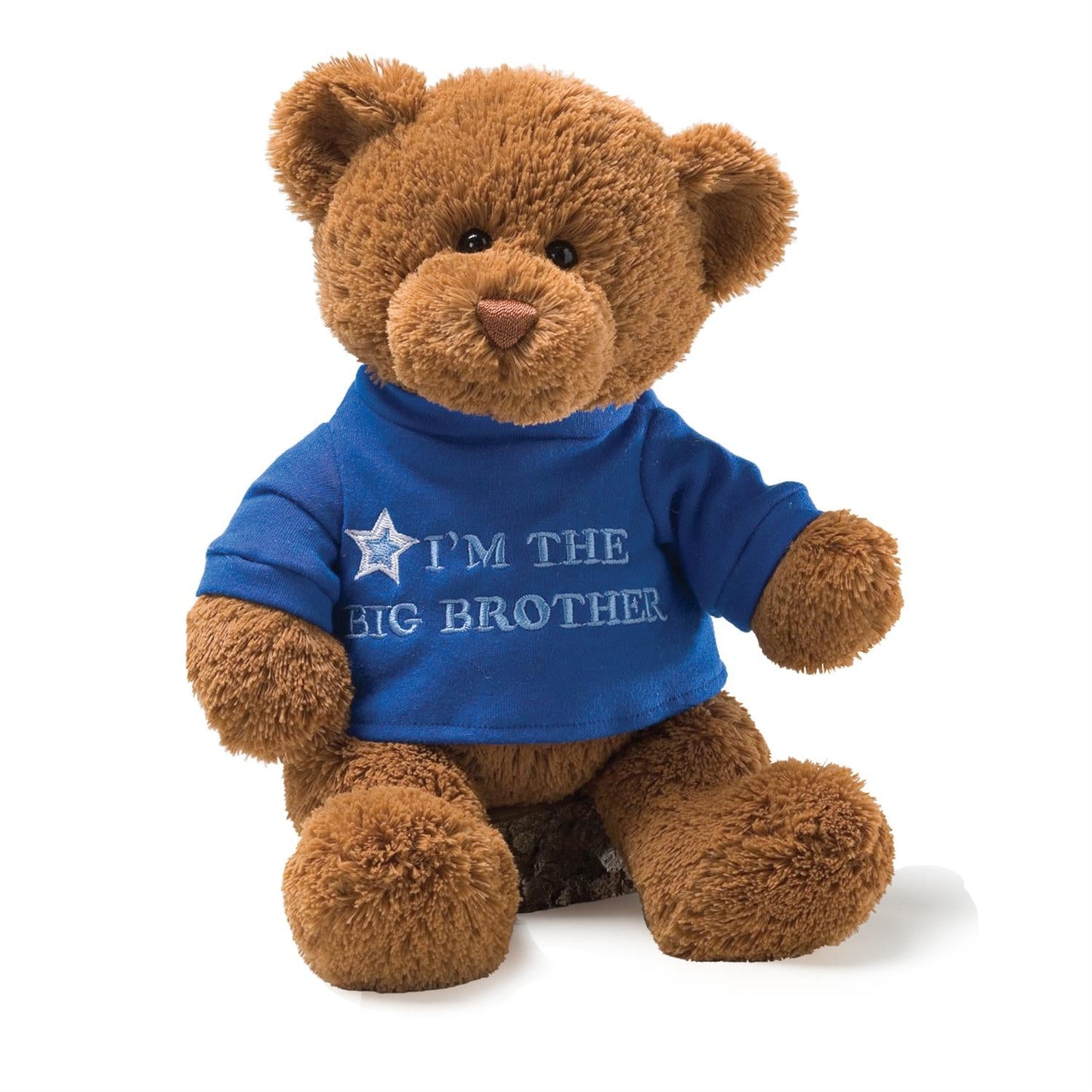 Gund I'm the Big Brother Brown Bear, 12"