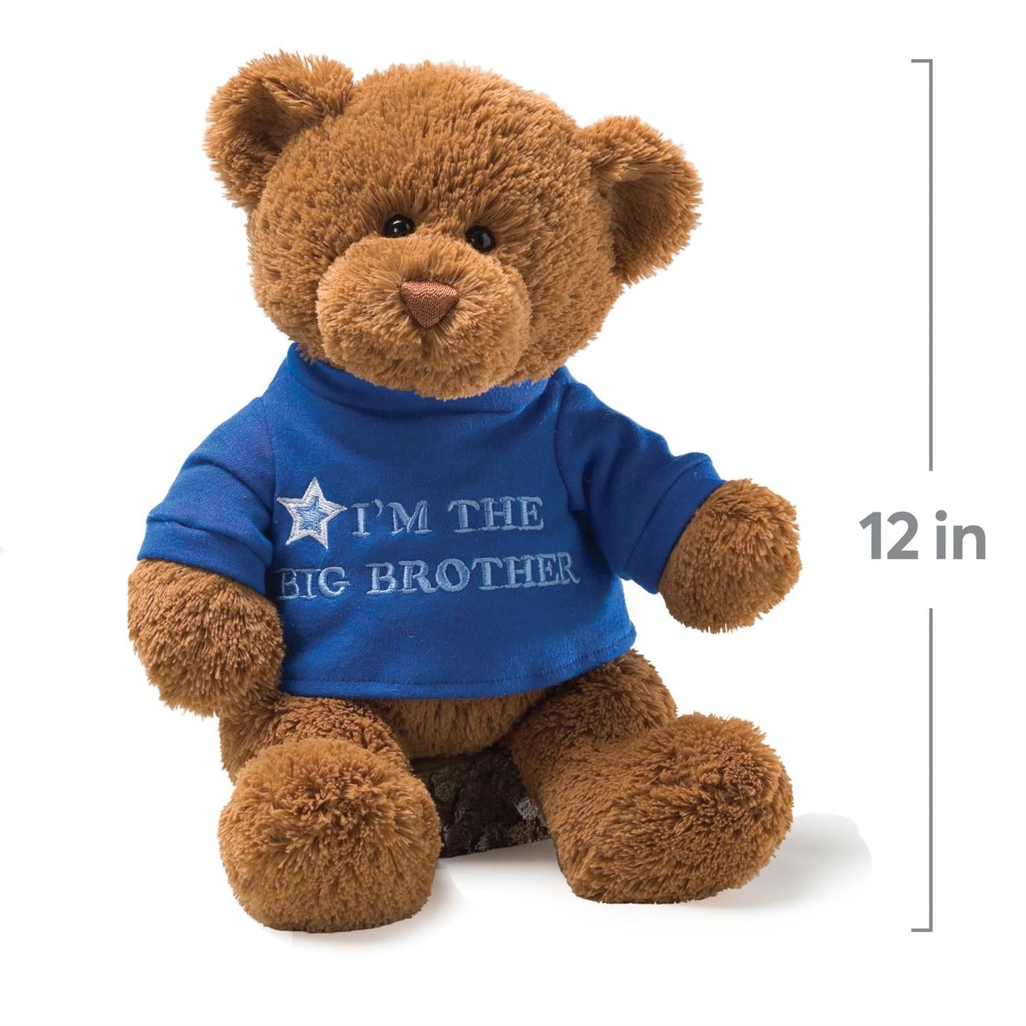 Gund I'm the Big Brother Brown Bear, 12"