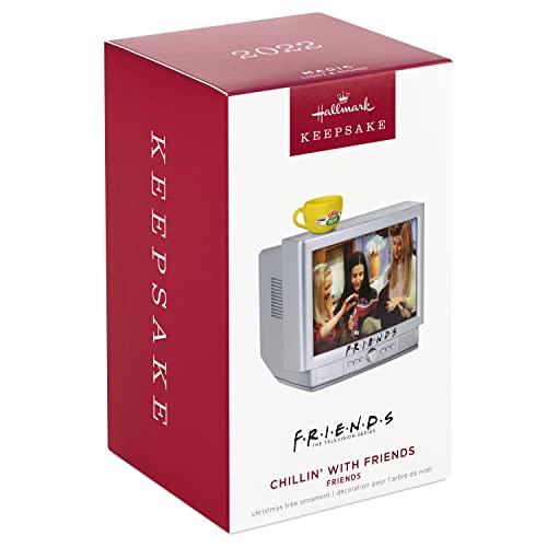 Hallmark Keepsake Christmas Ornament 2022, Friends Chillin' with Friends, Light and Sound