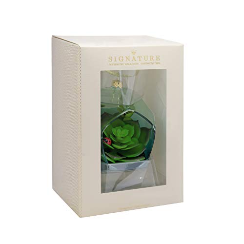 Hallmark Signature Christmas Ornament Succulent Terrarium, Glass