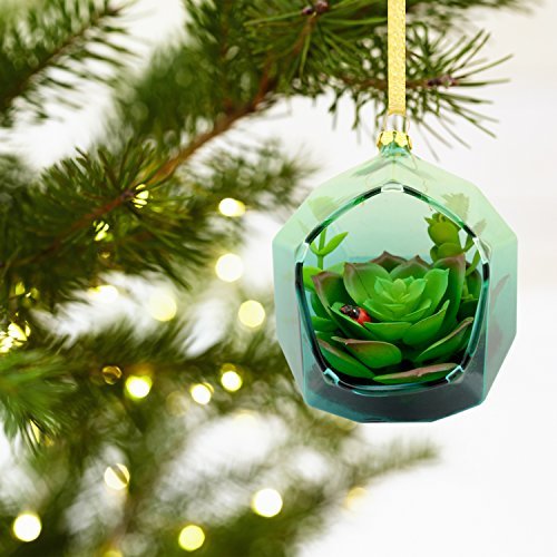 Hallmark Signature Christmas Ornament Succulent Terrarium, Glass