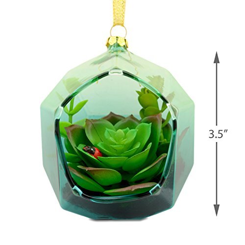 Hallmark Signature Christmas Ornament Succulent Terrarium, Glass
