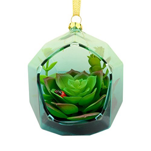 Hallmark Signature Christmas Ornament Succulent Terrarium, Glass