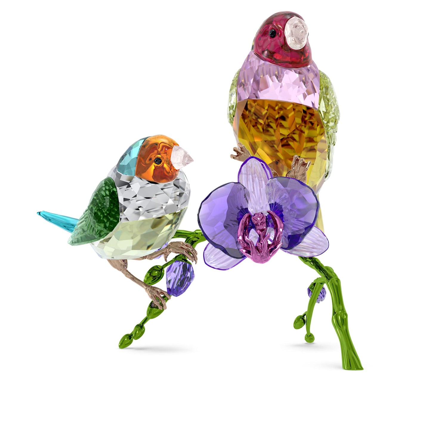 Idyllia SCS Annual Edition 2024 Gouldian Finches