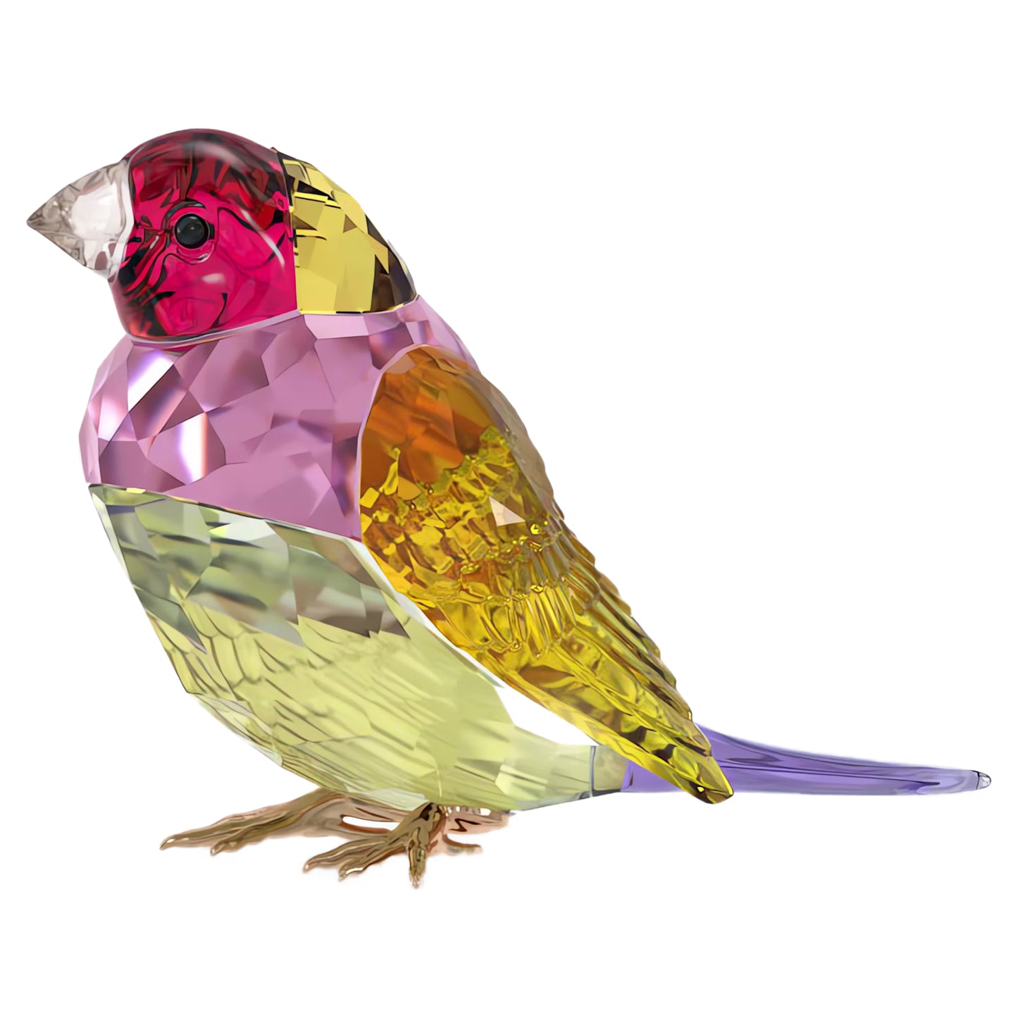 Swarovski SCS 2024 Idyllia Gouldian Finch, Large
