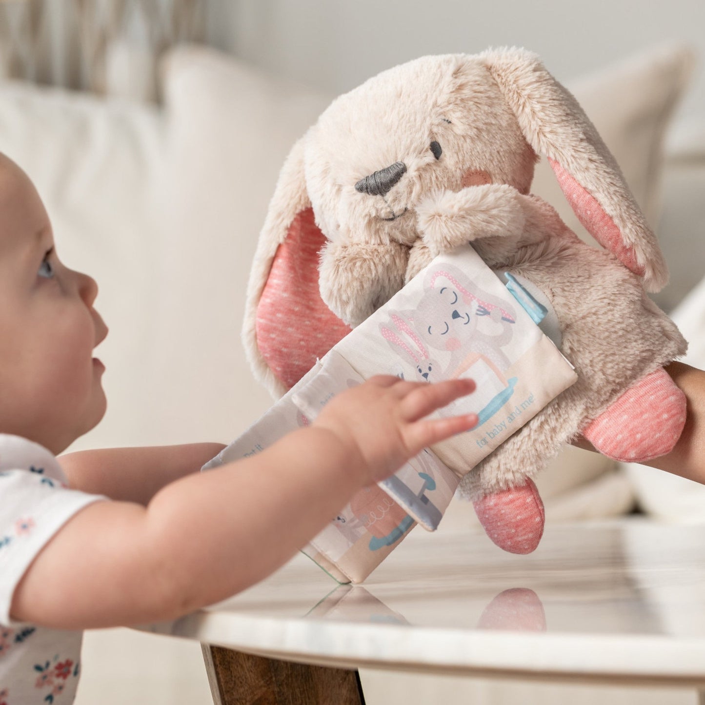 Pat - A - Cake Puppet Book