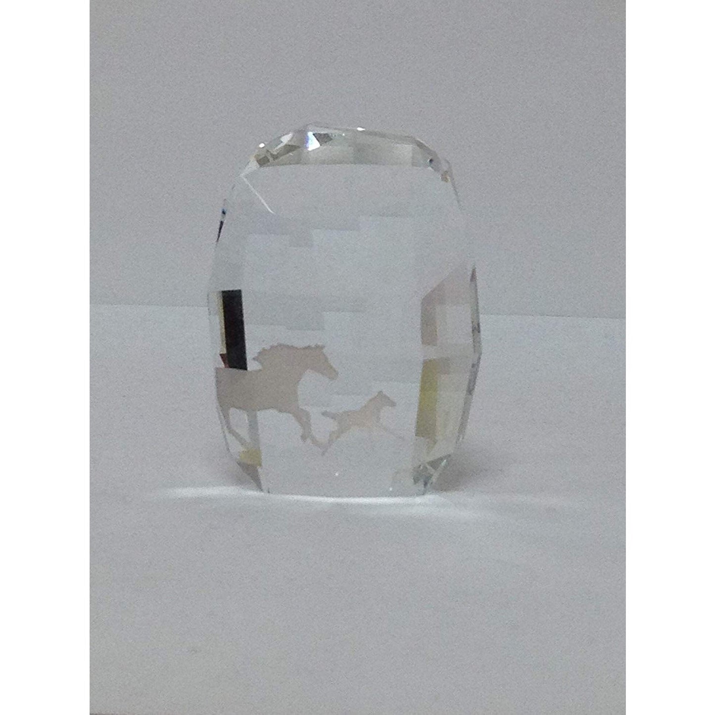 Swarovki New SCS Paper Weight