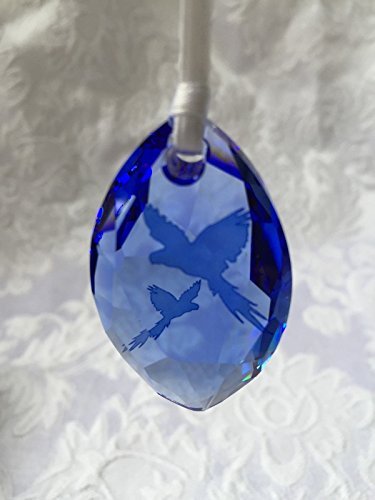 Swarovski 2014 SCS HYAZINTH MACAW EVENT WINDOW ORNAMENTBRAND NEW 5081456