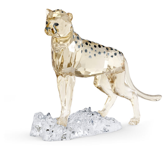 Swarovski SCS Elegance of Africa Cheetah Baby Jabari Figurine