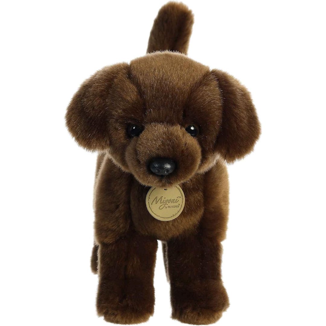 Aurora, Chocolate Labrador 10" Plush