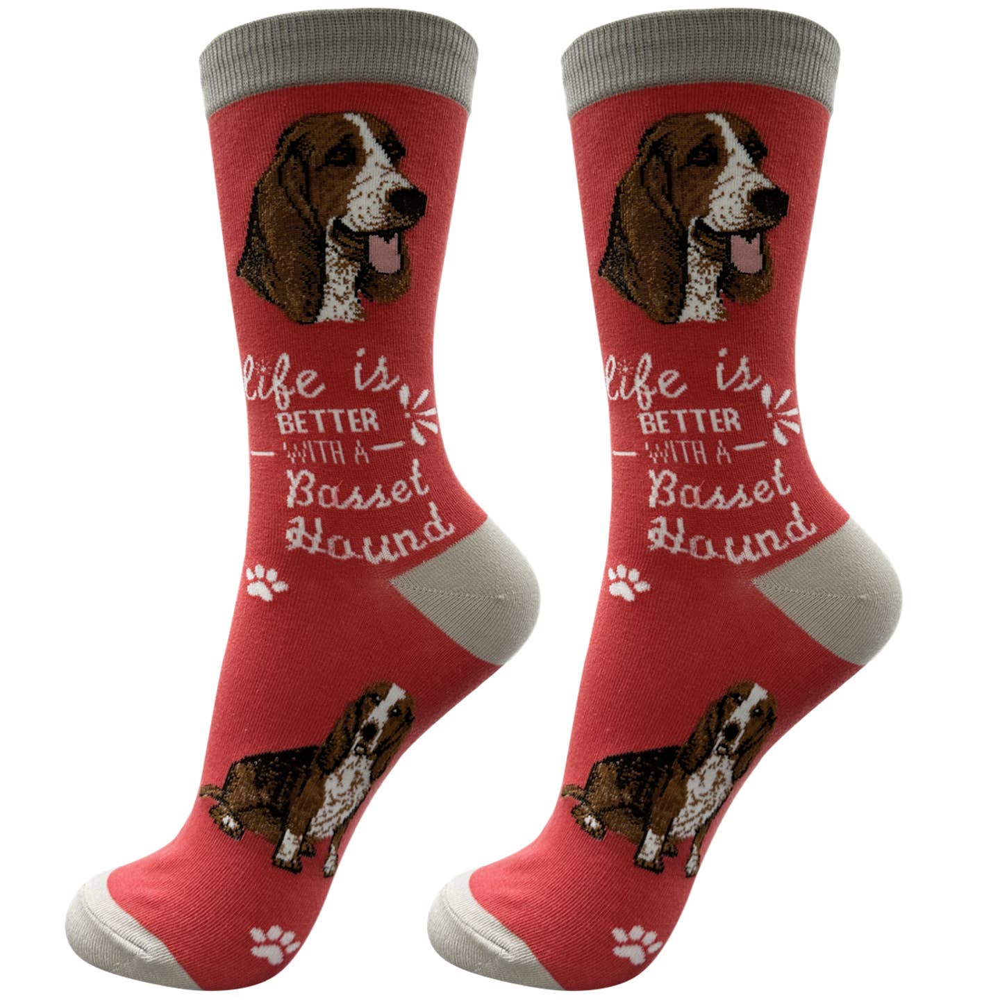 Basset Hound Socks