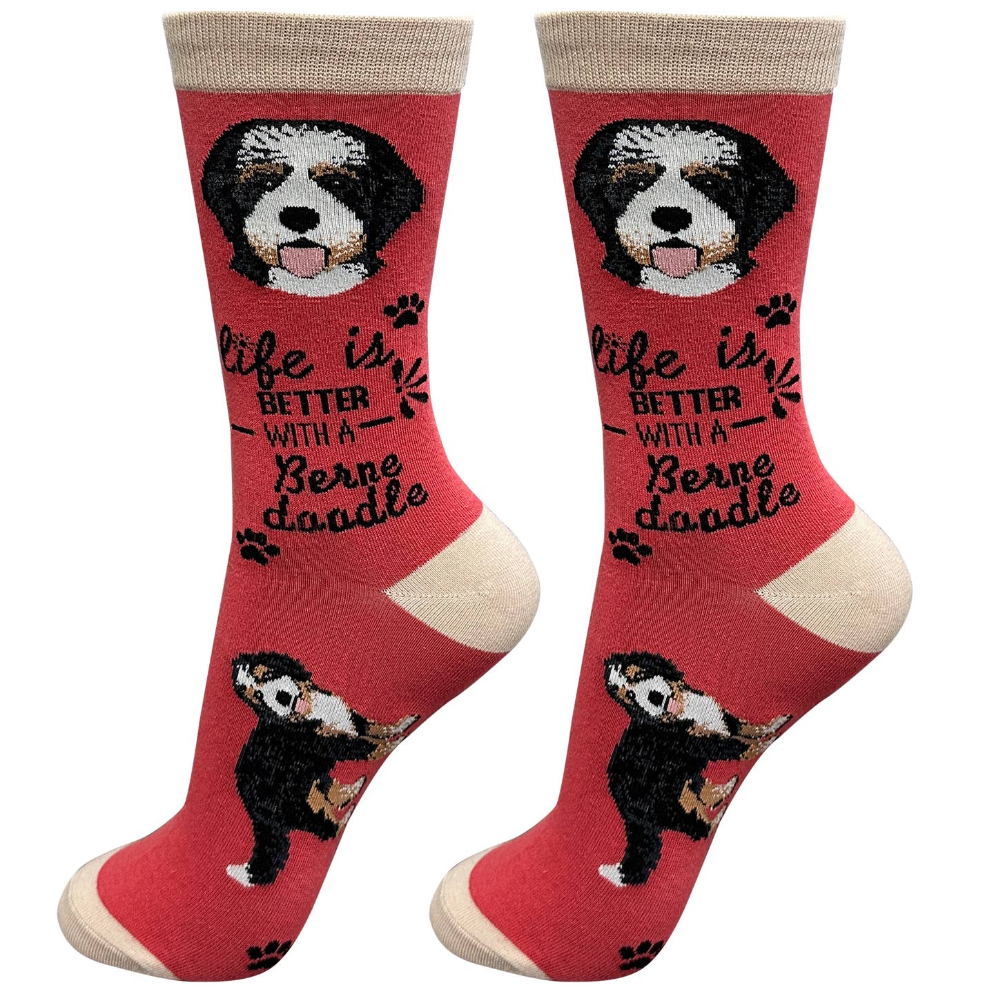 Bernadoodle Socks