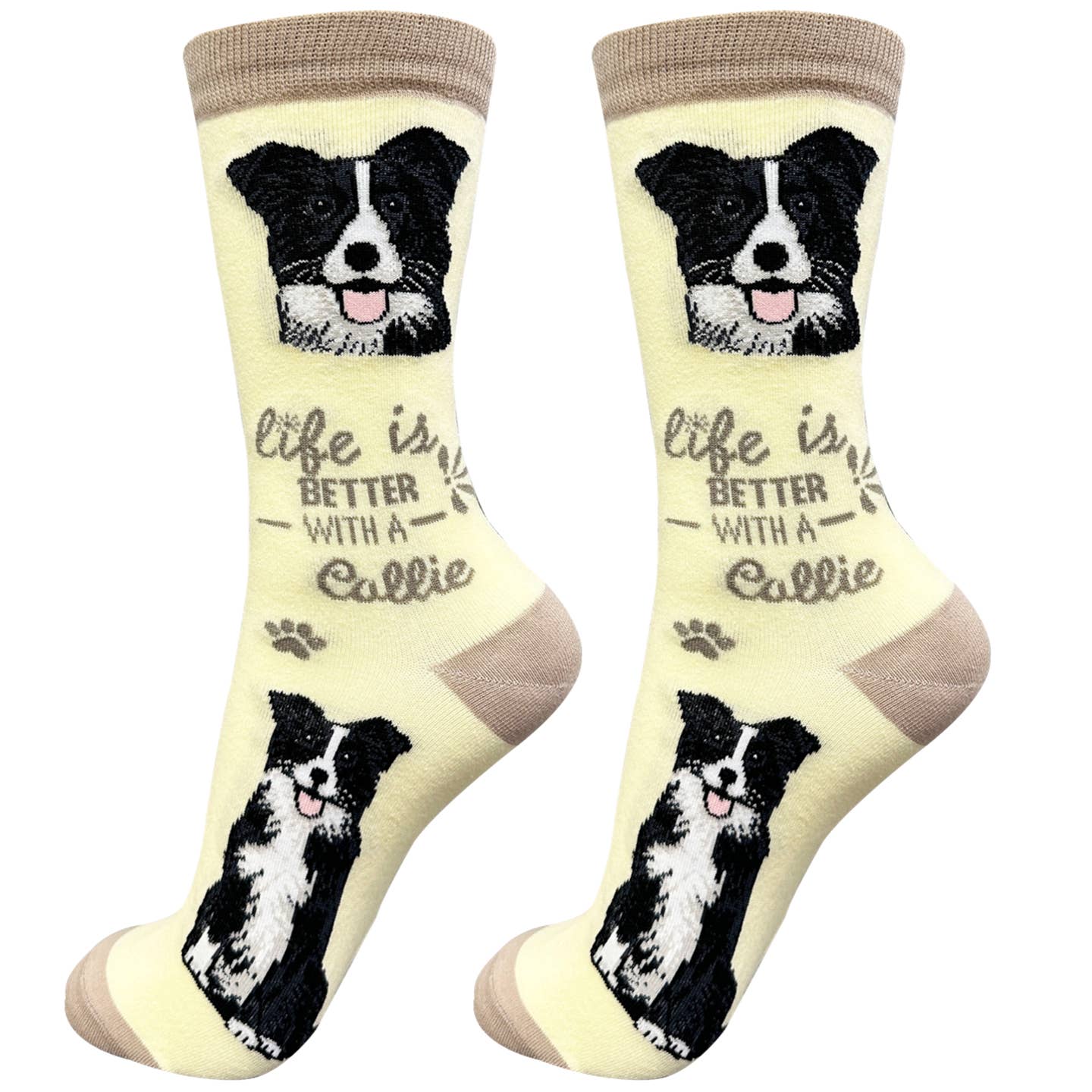 Border Collie Socks
