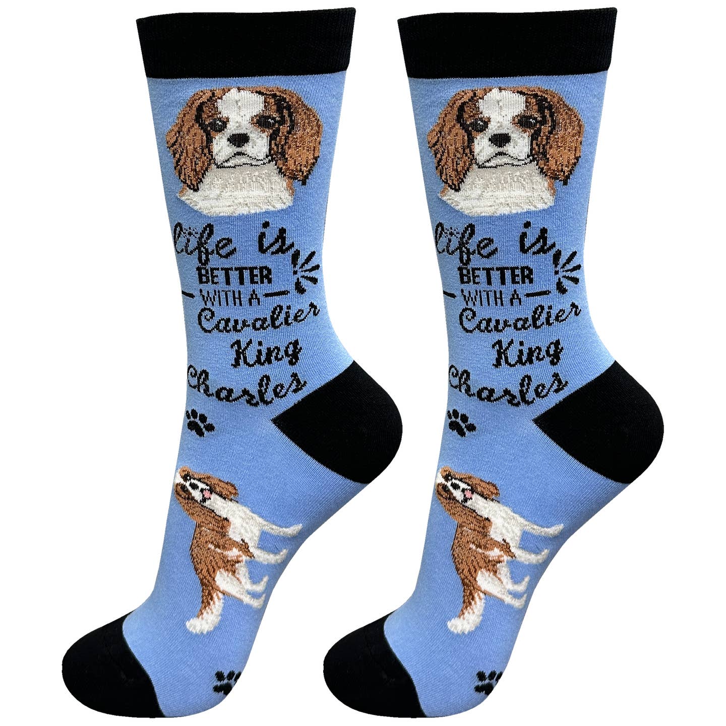 Cavalier King Charles Socks