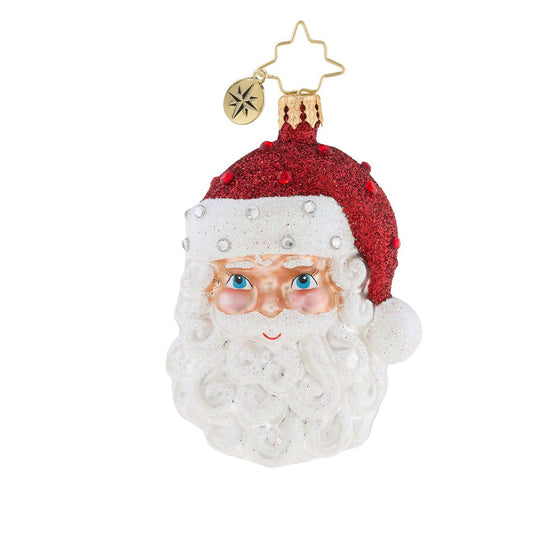 Christopher Radko Simply Fabulous Gem Christmas Ornament