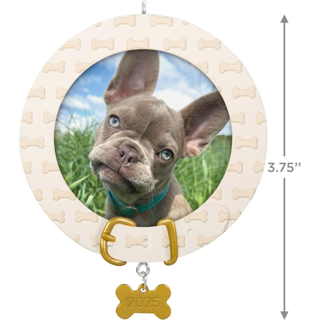 Faithful Friend 2025 Keepsake Ornament
