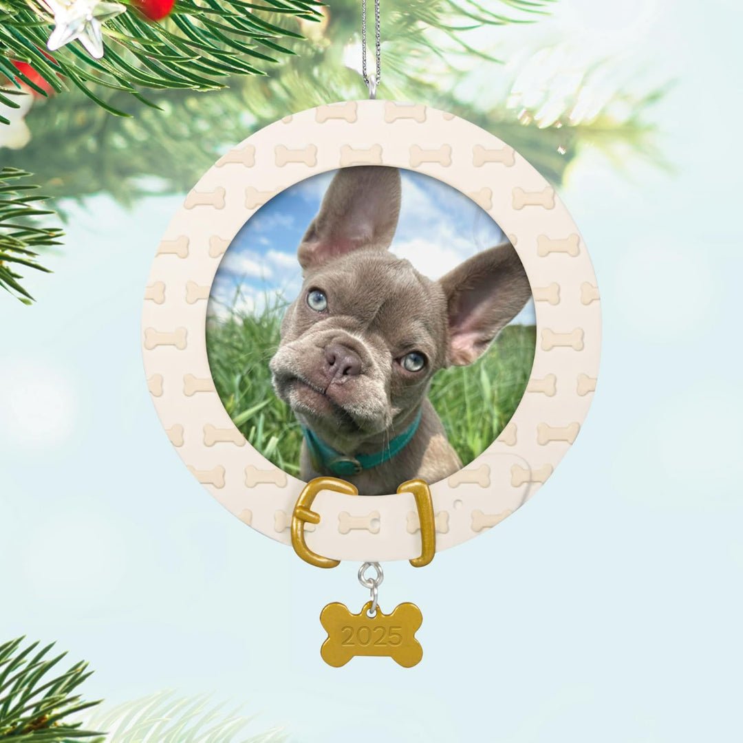 Faithful Friend 2025 Keepsake Ornament