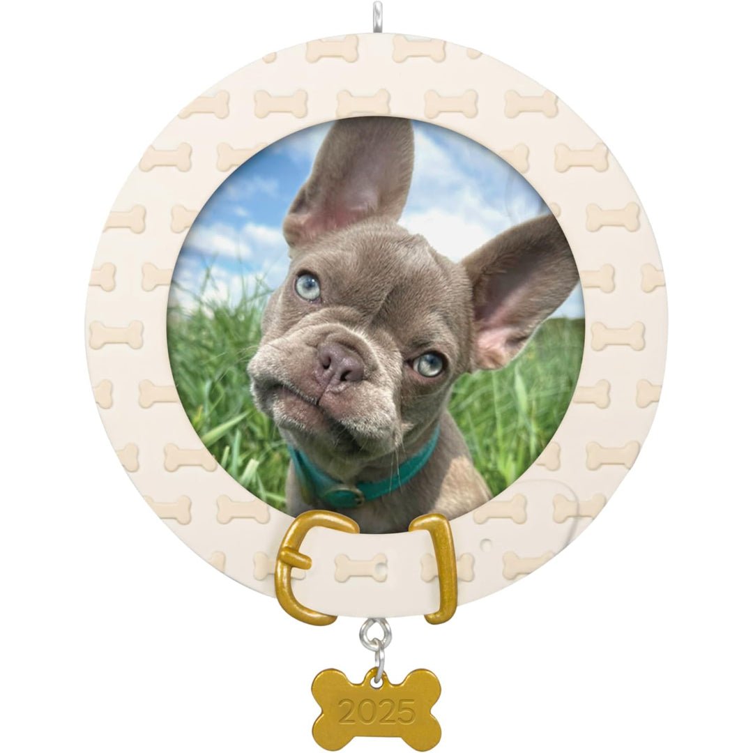 Faithful Friend 2025 Keepsake Ornament
