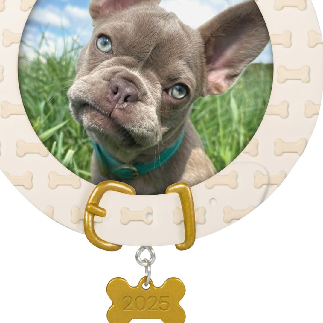 Faithful Friend 2025 Keepsake Ornament