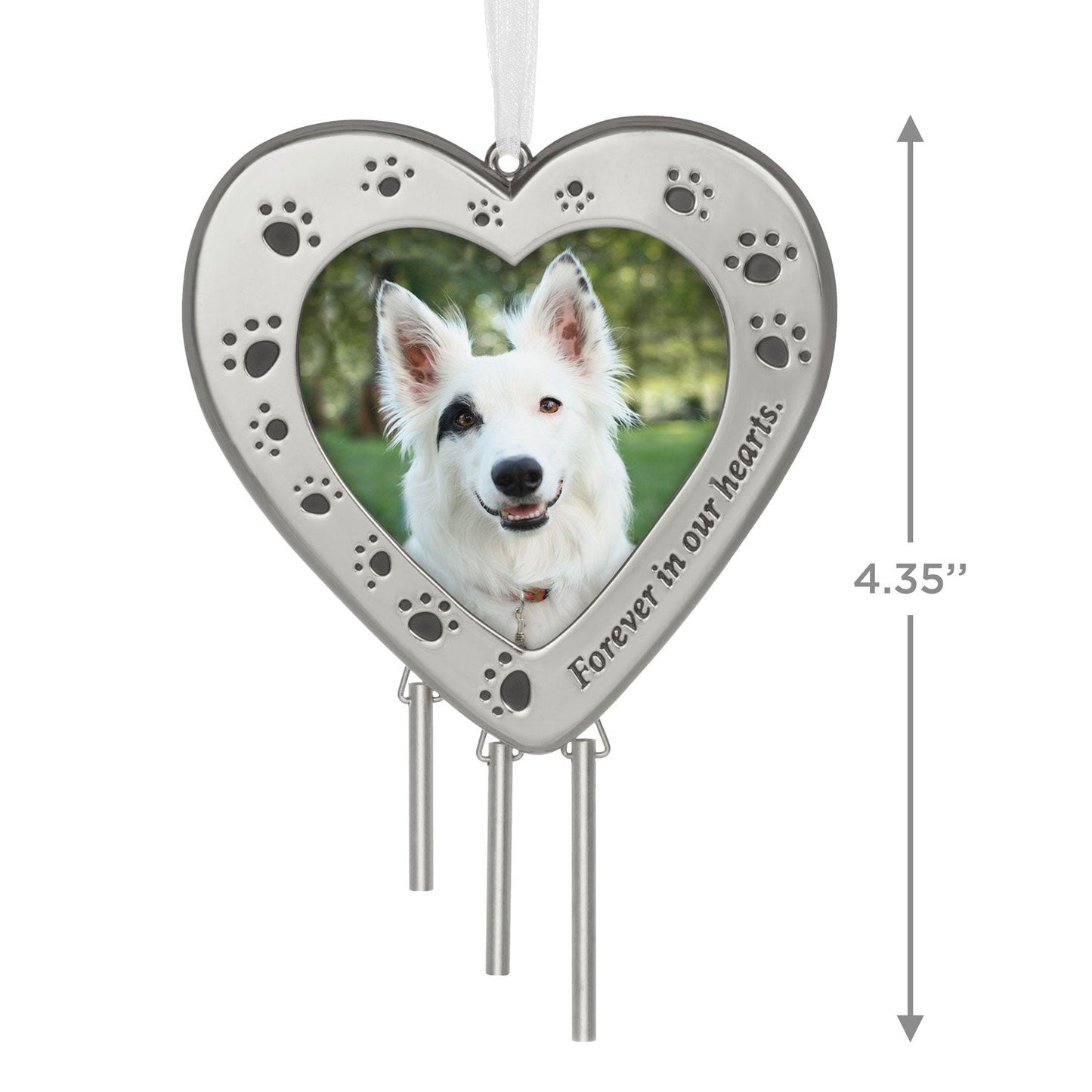 Forever in Our Hearts Metal Photo Frame Pet Memorial, 2023 Keepsake Ornament - Celebrations Hallmark