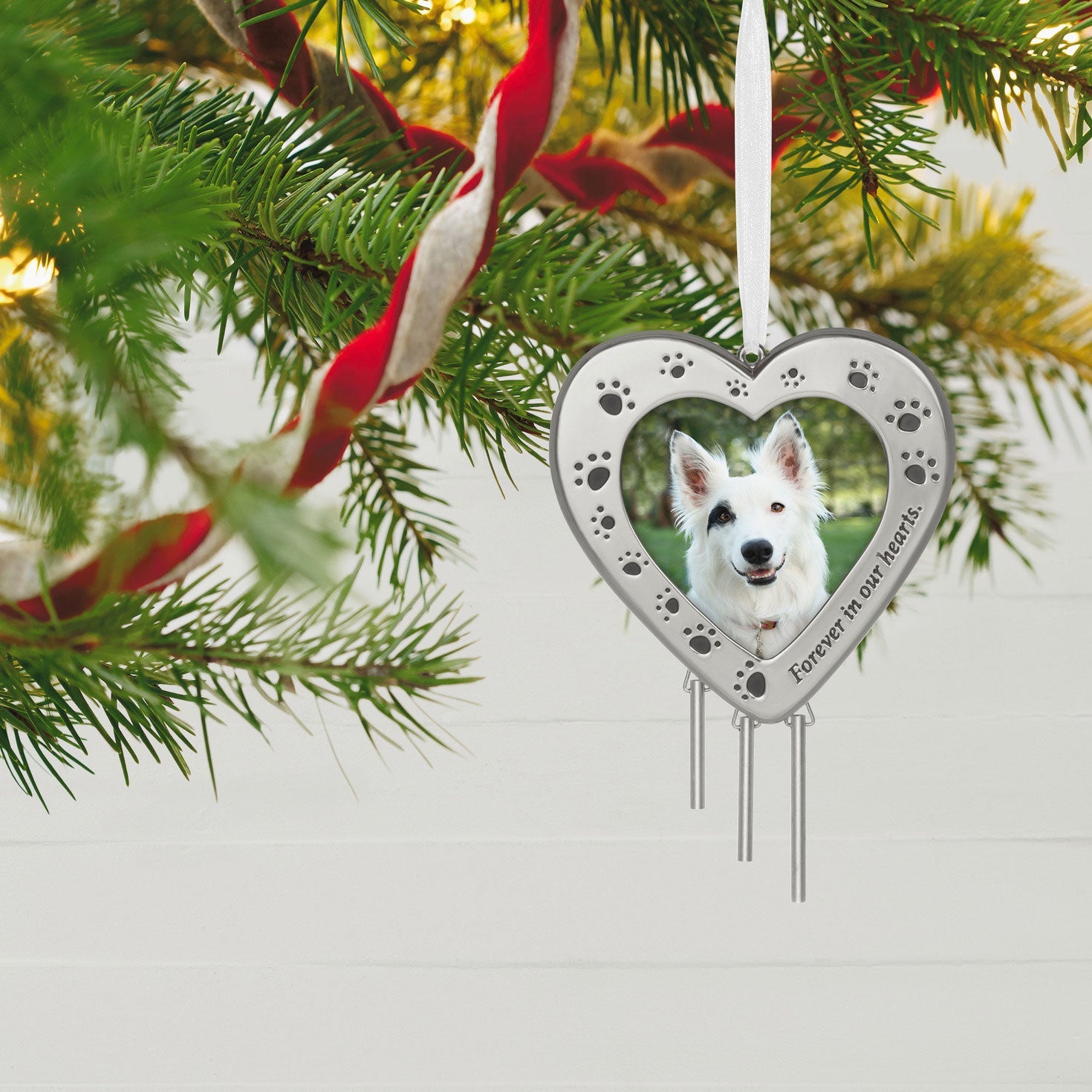 Forever in Our Hearts Metal Photo Frame Pet Memorial, 2023 Keepsake Ornament - Celebrations Hallmark