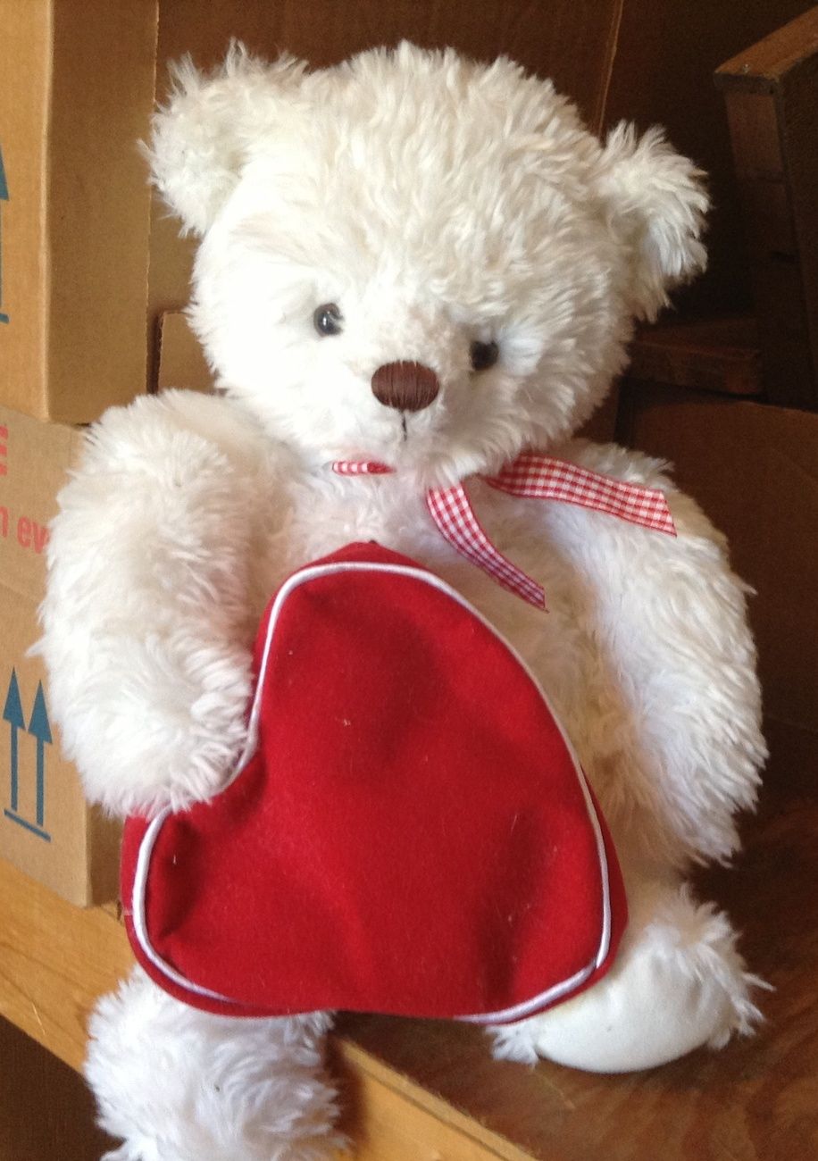 From My Heart Teddy Bear with Zippered Heart Pouch, 14"H