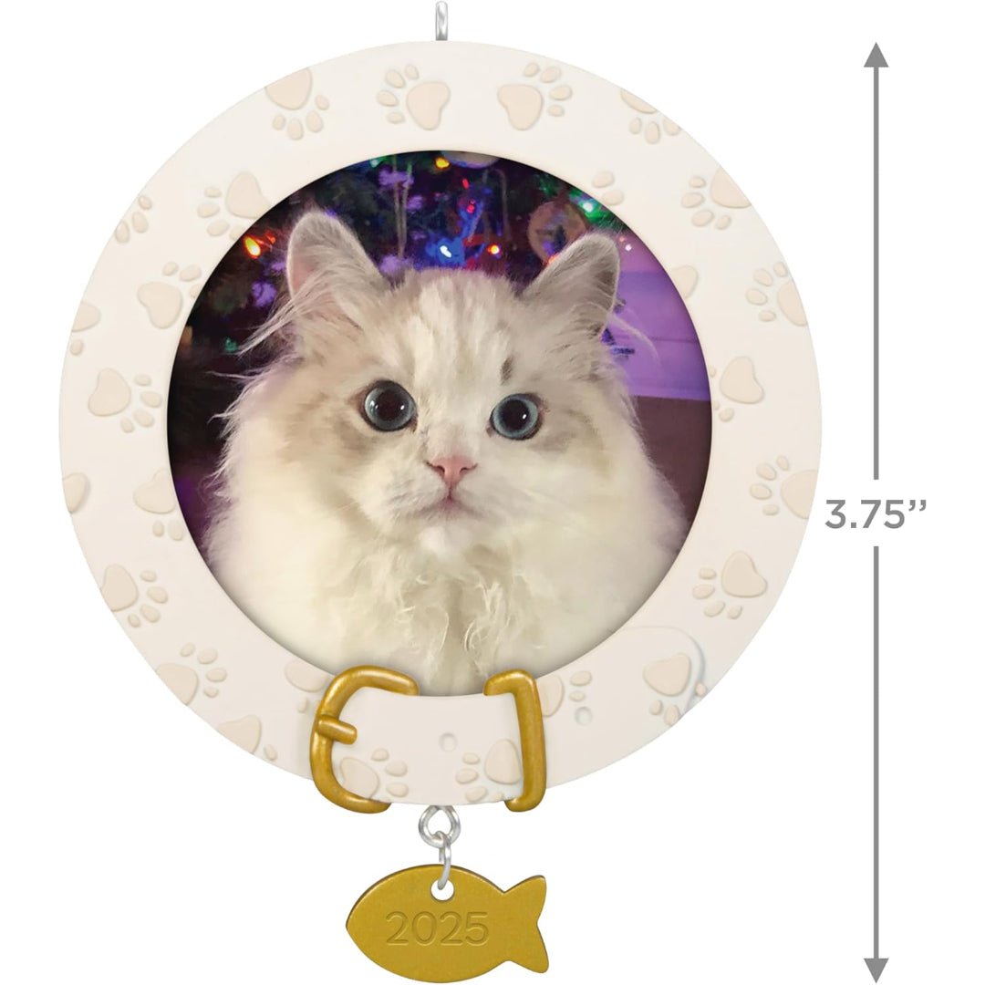 Furry Friend 2025 Keepsake Ornament