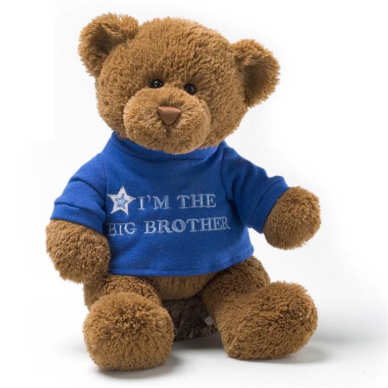 Gund I'm the Big Brother Bear, 12"