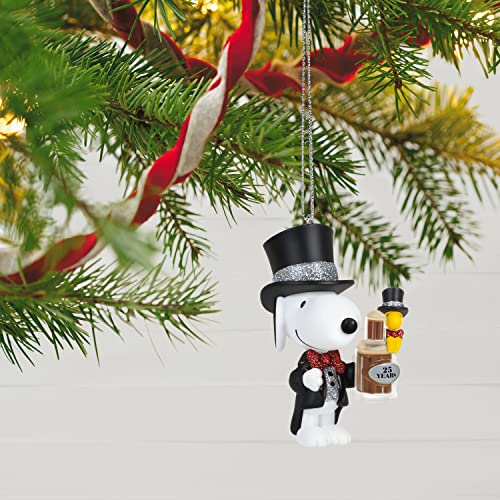 Hallmark Keepsake 2499QXI7813 Ornament, Spotlight on Snoopy