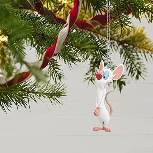 Hallmark Keepsake Christmas Ornament 2022, Animaniacs Pinky and The Brain, Set of 2