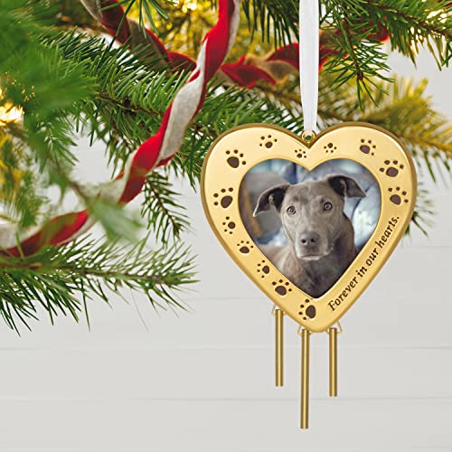 Hallmark Keepsake Christmas Ornament 2022, Forever Friend Pet Picture Frame, Metal