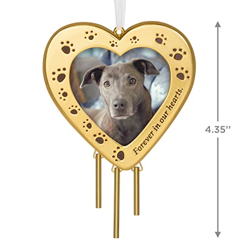 Hallmark Keepsake Christmas Ornament 2022, Forever Friend Pet Picture Frame, Metal