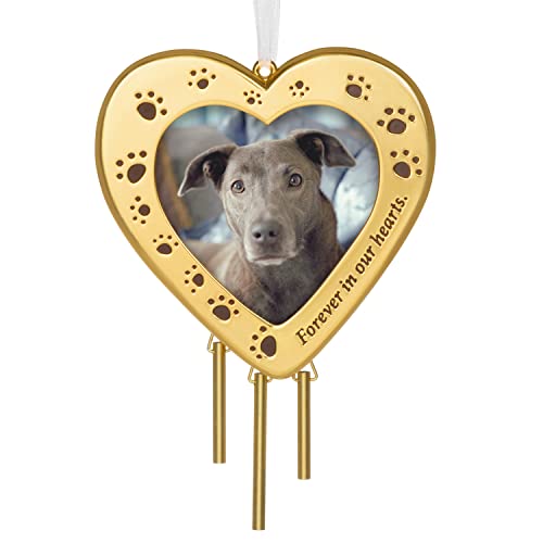 Hallmark Keepsake Christmas Ornament 2022, Forever Friend Pet Picture Frame, Metal