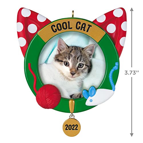 Hallmark Keepsake Christmas Ornament 2022 Year - Dated, Cool Cat Photo Frame