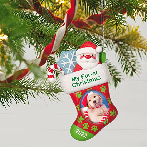 Hallmark Keepsake Christmas Ornament 2022 Year-Dated, Pet's Fur-st Christmas Stocking Photo Frame