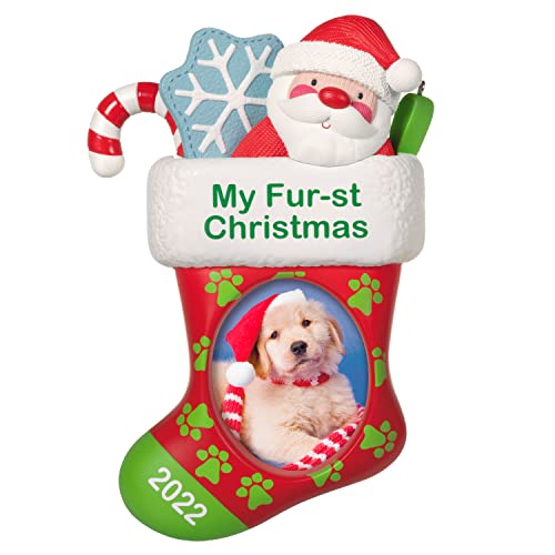 Hallmark Keepsake Christmas Ornament 2022 Year-Dated, Pet's Fur-st Christmas Stocking Photo Frame