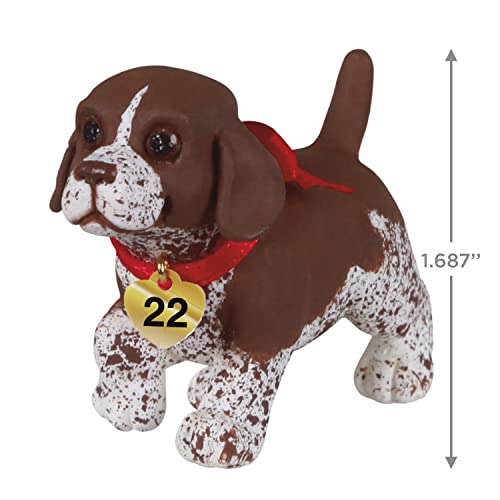 Hallmark Keepsake Christmas Ornament 2022 Year - Dated, Puppy Love German Shorthaired Pointer